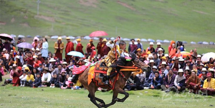 格?；ㄊ㈤_(kāi) 牧民馬背上一顯身手