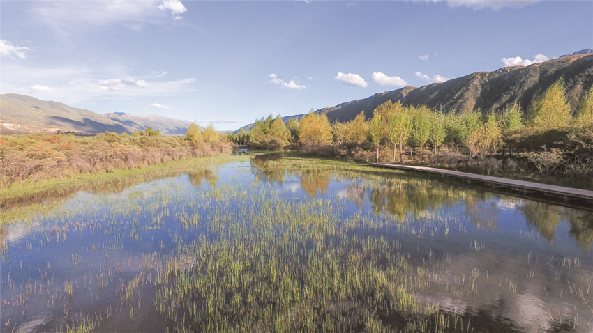 石渠濕地.jpg 石渠濕地.jpg